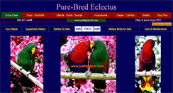 Desktop Screenshot of eclectusparrot.com