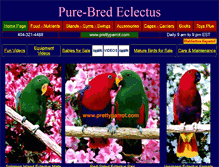 Tablet Screenshot of eclectusparrot.com